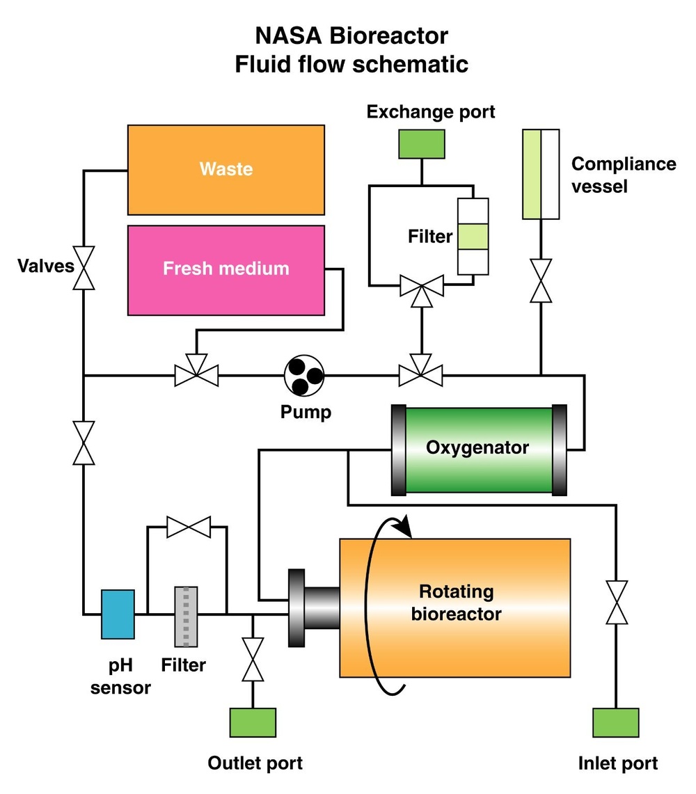 NASA Bioreactor Schematic