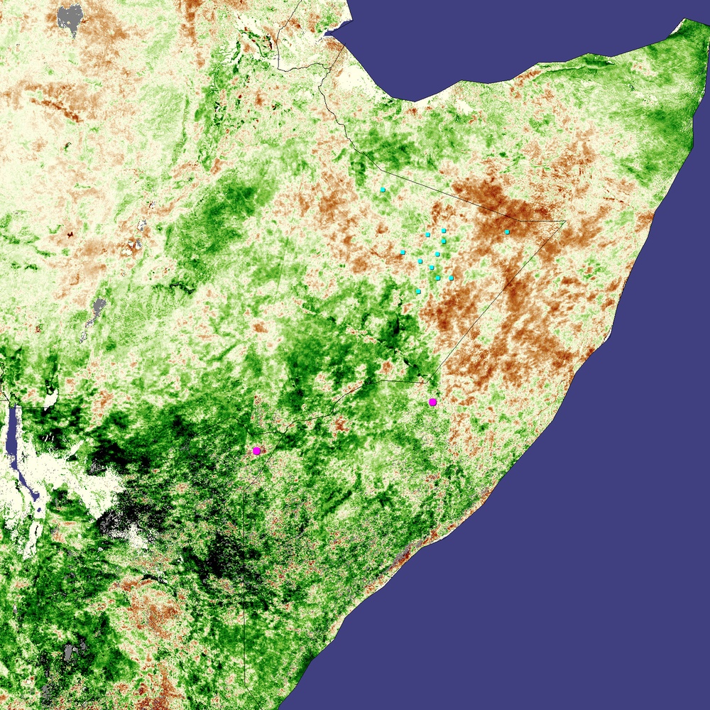 Locusts in Kenya: Image of the Day