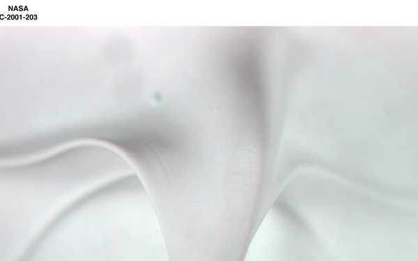 IMPASTO PAINT PALLETTE FROM THE SMITHSONIAN INSTITUTION - AO CLEANED PAINT WHITE SMITHSONIAN PALLETTE