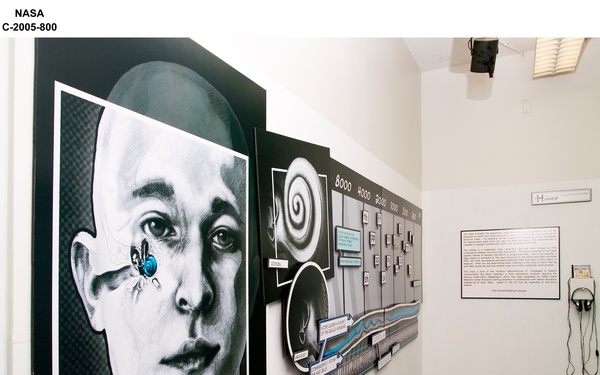 Display graphic depicting the effects of "Noise Induced Hearing Loss" (NIHL), created as part of a Cleveland Institute of Art, Bachelor of Fine Arts thesis project in cooperation with the NASA Glenn Research Center Acoustical Testing Laboratory