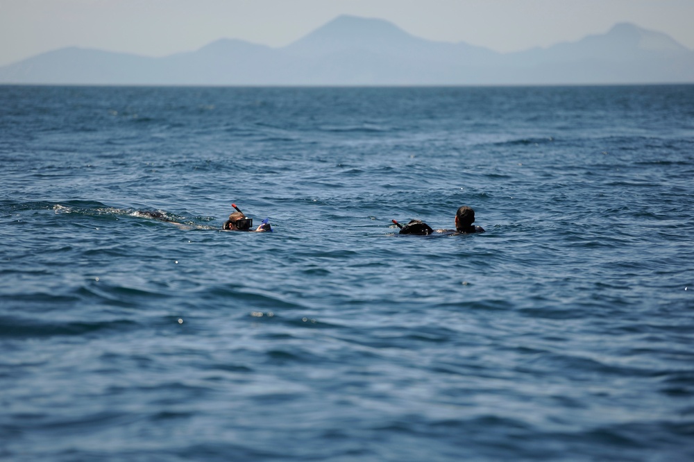 Search and rescue swimming operations