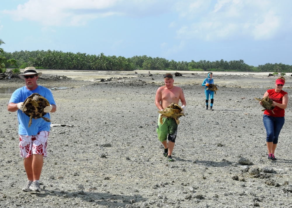 Volunteers assist in turtle tagging task