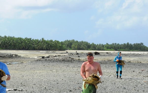 Volunteers assist in turtle tagging task