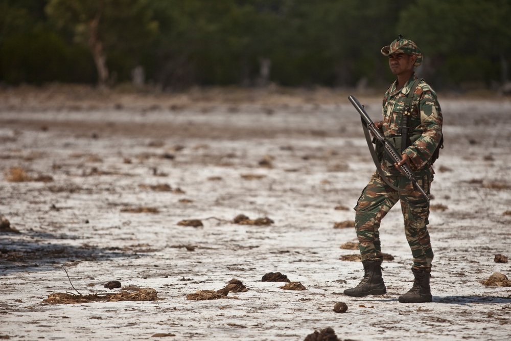 Exercise Crocodilo 2012