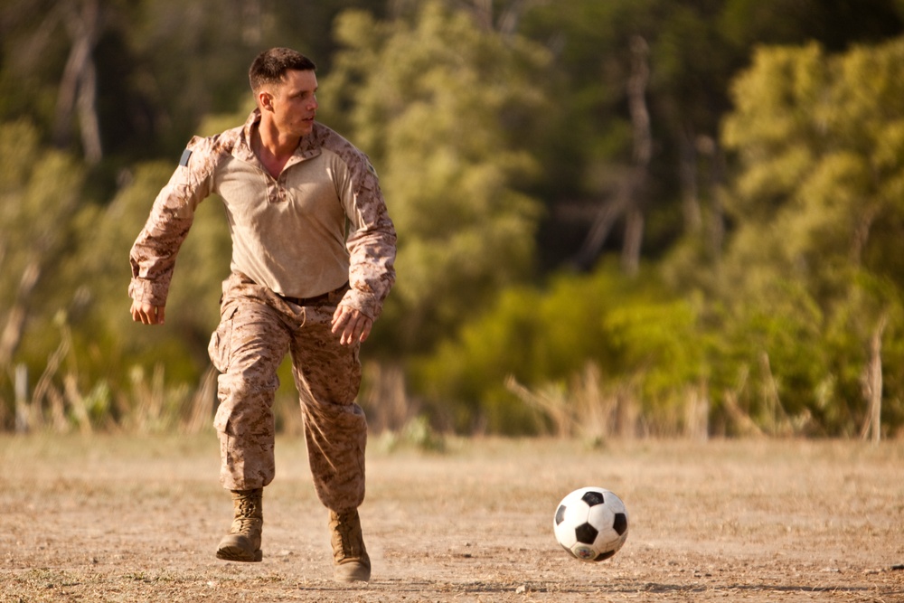 Exercise Crocodilo 2012