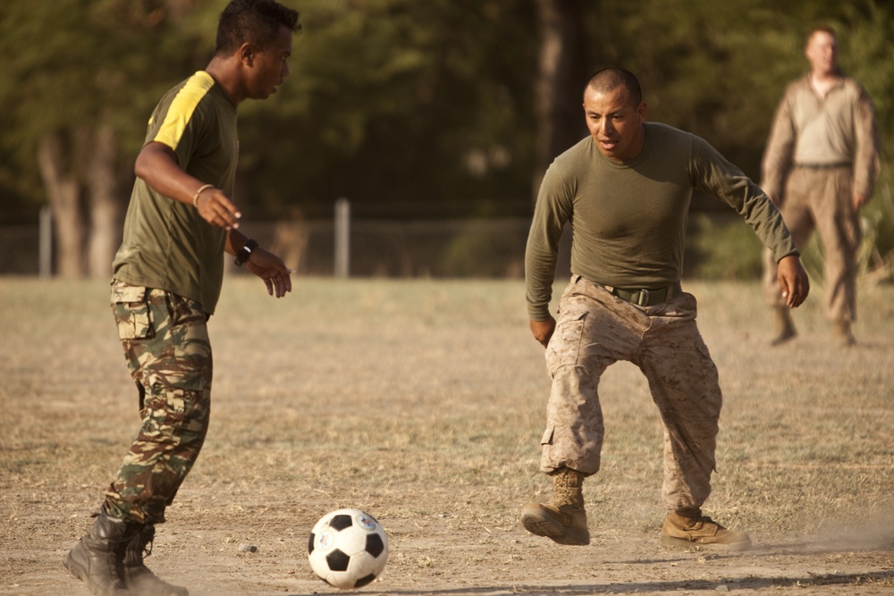 Exercise Crocodilo 2012