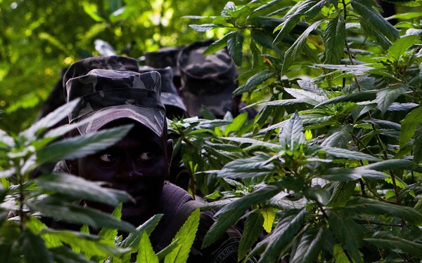 Coconut Grove goes out with a bang