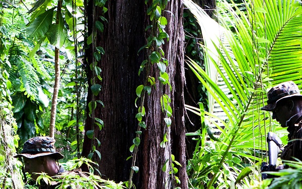 Coconut Grove goes out with a bang