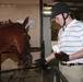 HORSE PLAY: Marine pastime builds new skill, lasting memories,friendships