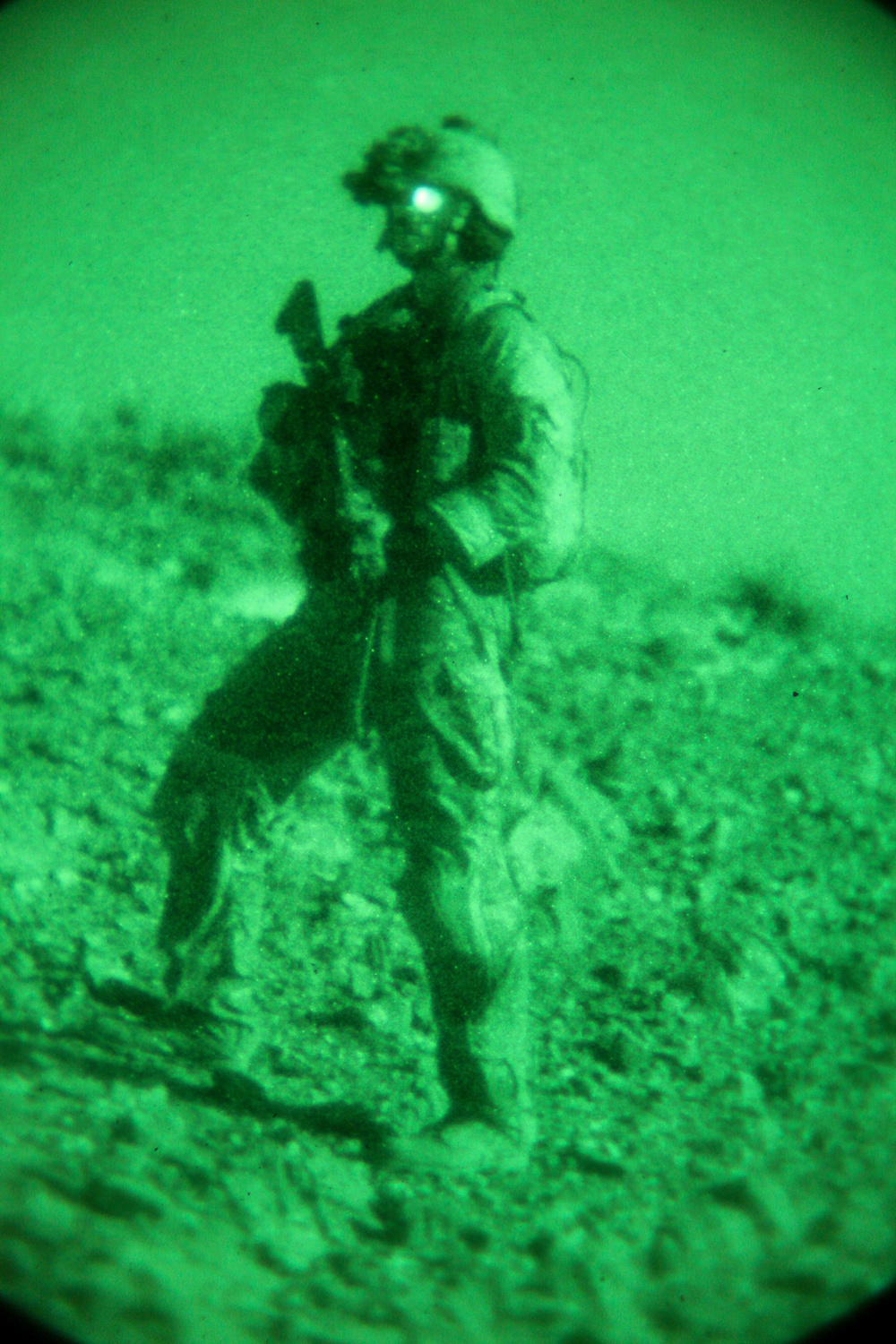Haqqani leader arrest