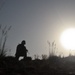 Haqqani leader arrest