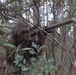 Sniper teams show expertise during ‘Vanguard’ competition