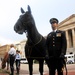 Washington international horse show mounted Police breakfast