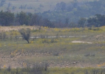 Cavalry Bradley crews conduct gunnery exercises