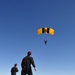 Jumpers out! The US Army parachute team performs during 2012 Amigo Airsho