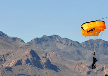 Jumpers out! The US Army parachute team performs during 2012 Amigo Airsho