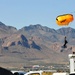 Jumpers out! The US Army parachute team performs during 2012 Amigo Airsho