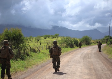 Marines, French, British forces clear objectives