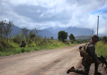 Marines, French, British forces clear objectives