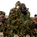 Exercise Noble Ledger 2012