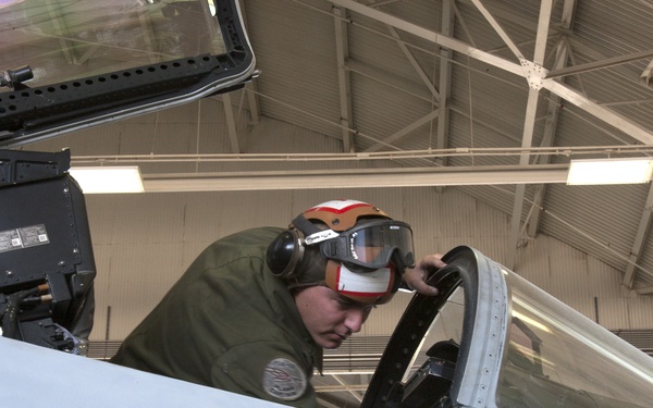 Plane captains: last line of defense