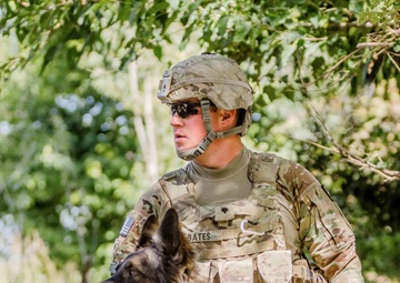 Blazing trails: US Army route clearance paves the way