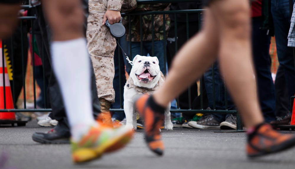 The 37th Marine Corps Marathon - The People's Marathon
