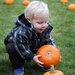 CDC Fall Festival