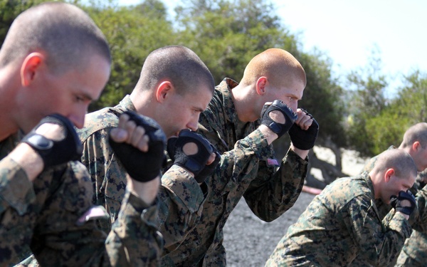 Testing Out: Recruits of Co. C earn tan belt
