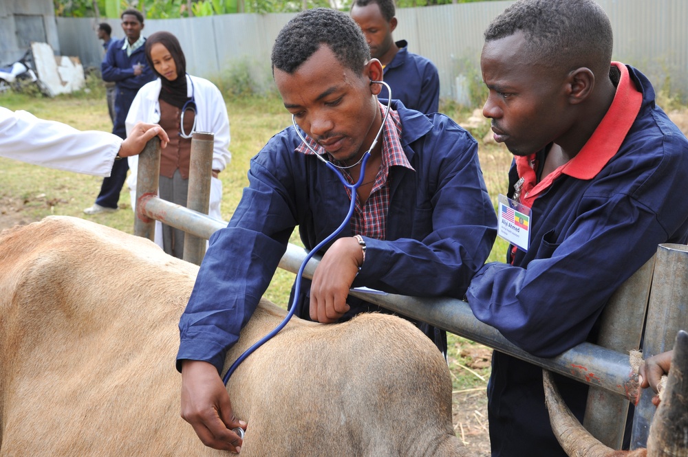 Ethiopia, US partners for veterinarian project
