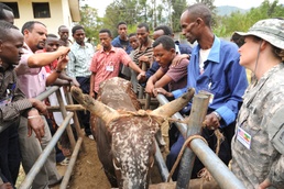 Ethiopia, US partners for veterinarian project