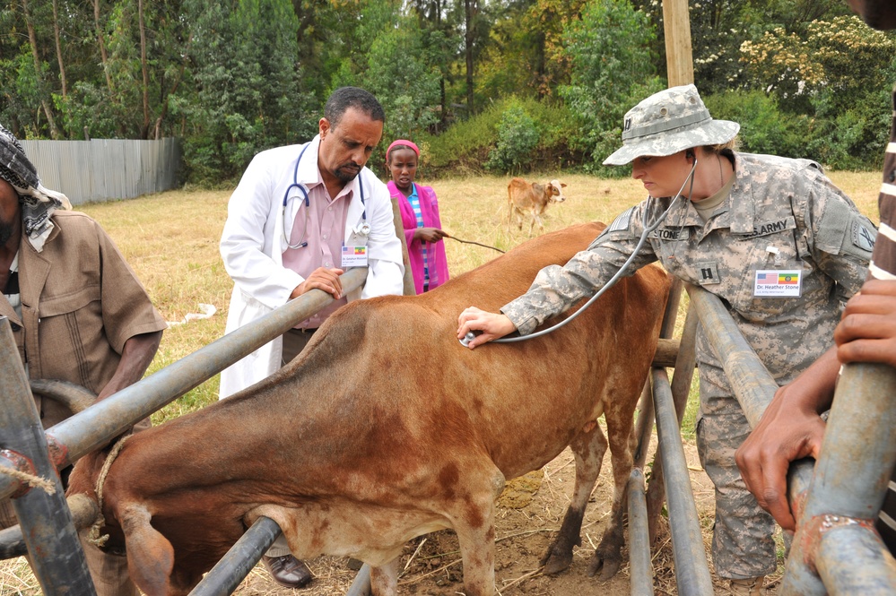 Ethiopia, US partner for Veterinarian Project