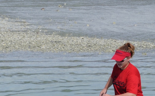 Scientists tag turtles at Diego Garcia