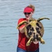 Scientists tag turtles at Diego Garcia