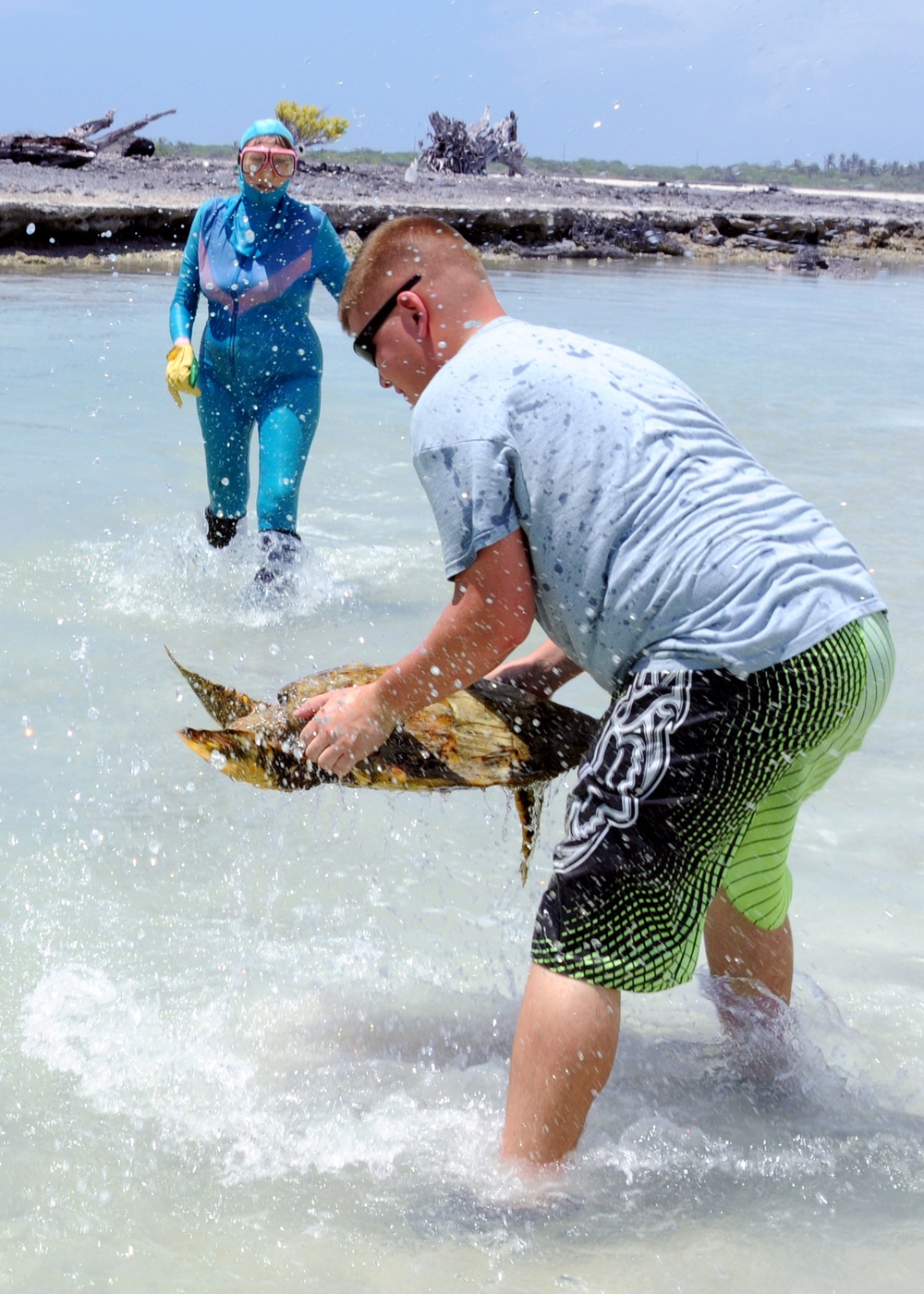 Scientists tag turtles at Diego Garcia