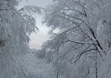West Virginia Guard soldiers help prevent volunteer fire department roof collapse