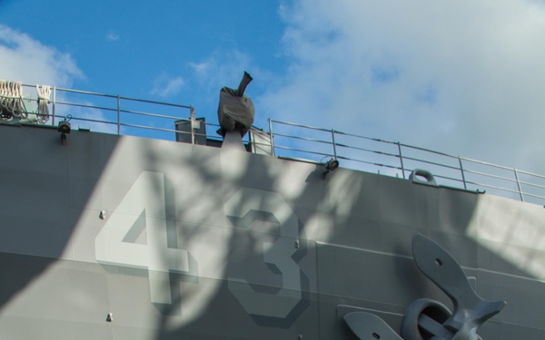 USS Fort McHenry security training in Albania