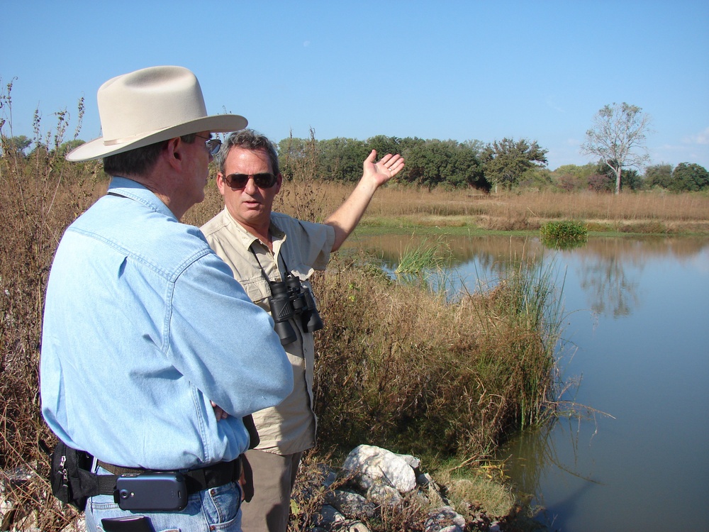 New Dallas wetland habitat reduces flood risk, too