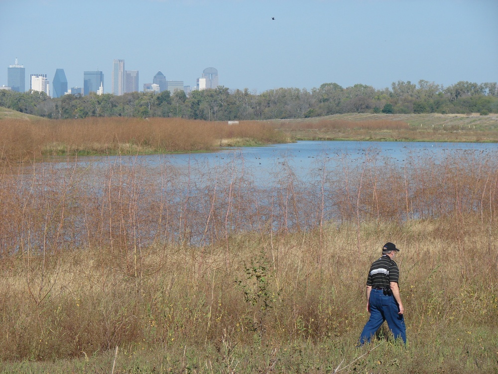 Wetlands create quality habitat in urban Dallas