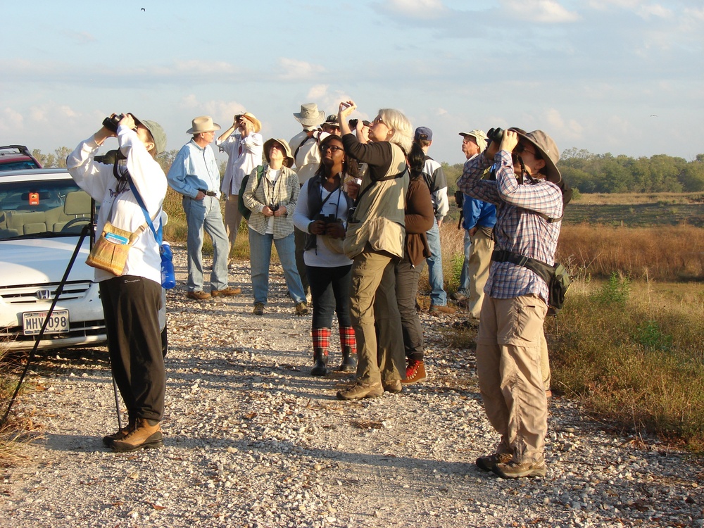 Birders' data reflects Corps of Engineers wetlands habitat health
