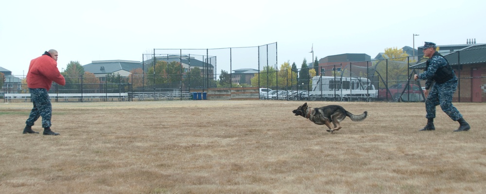 Naval Station Everett