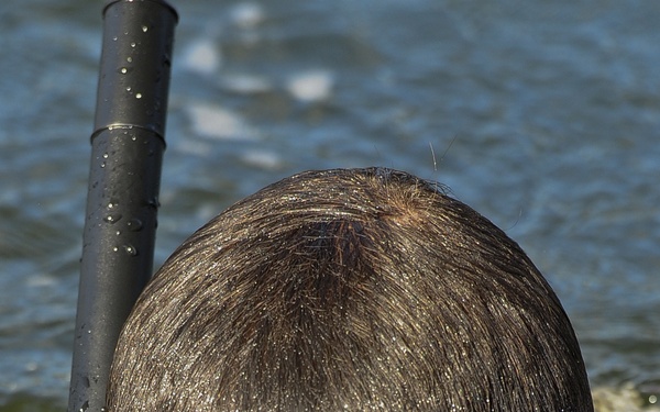 AFSOC/STTS Marina Cleanup