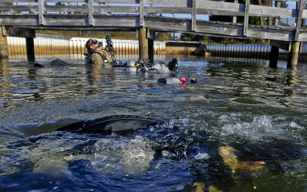 AFSOC/STTS Marina Cleanup