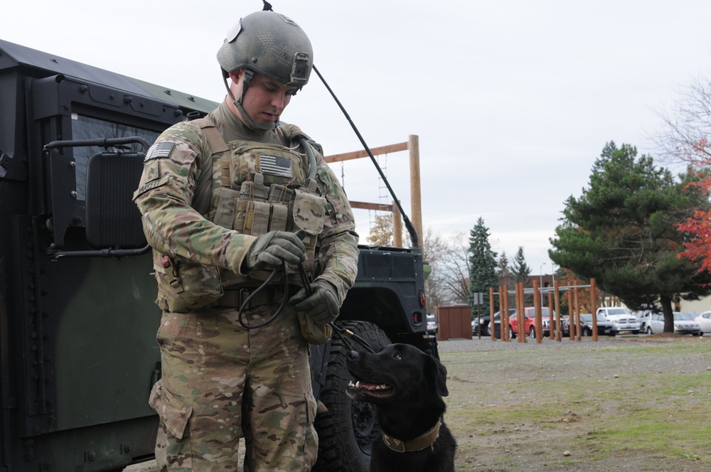 Military Working Dogs Detachment activates