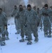 Arctic Soldiers