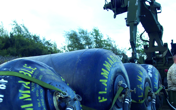 Scarface says ‘hello’ to its brand-new ‘little friend’