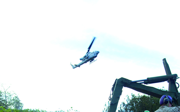 Scarface says 'hello' to its brand-new 'little friend'