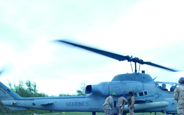 Scarface says 'hello' to its brand-new 'little friend'