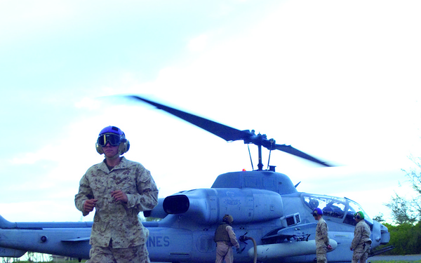 Scarface says ‘hello’ to its brand-new ‘little friend’