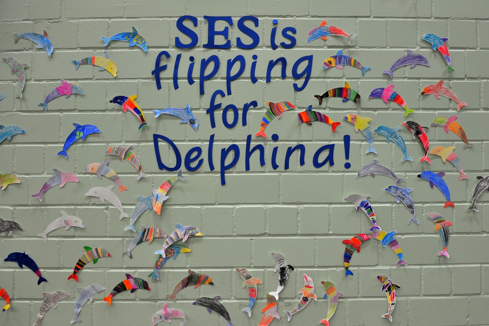SES raises funds to adopt dolphin